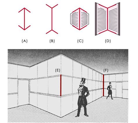 橫豎錯覺|知覺與認知│認知神經科學演示創新教學中心